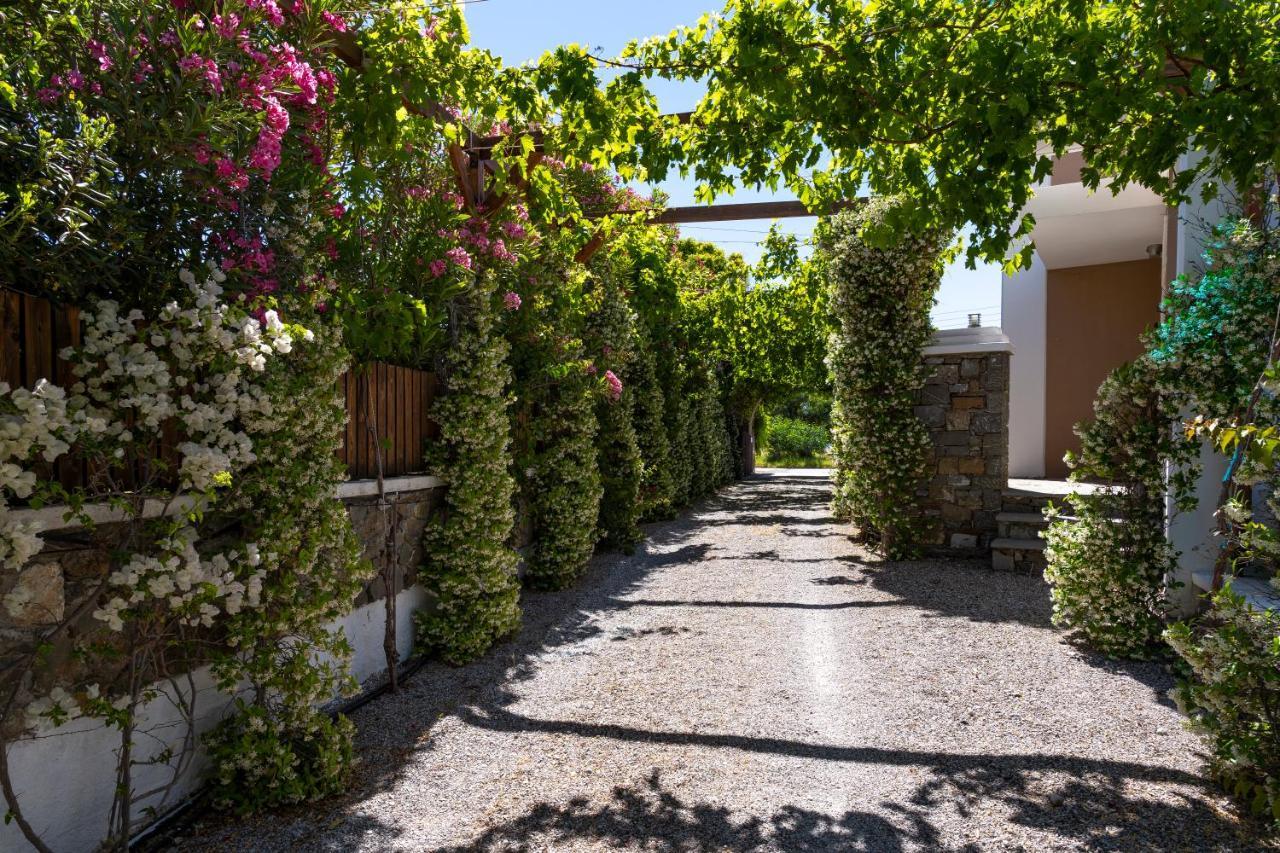 Horizon Line Villas Kiotari Extérieur photo