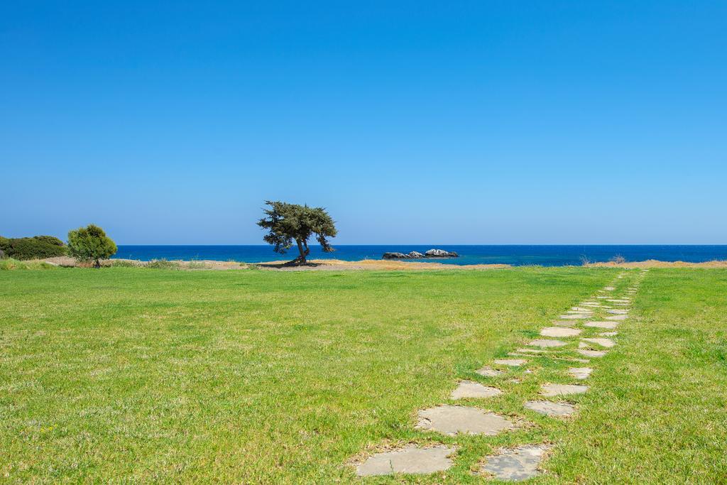 Horizon Line Villas Kiotari Extérieur photo